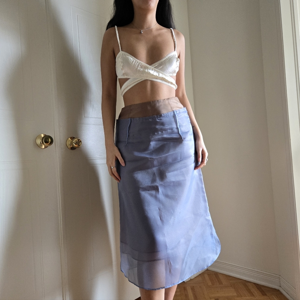 Organza Skirt